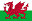 Flaga Wales