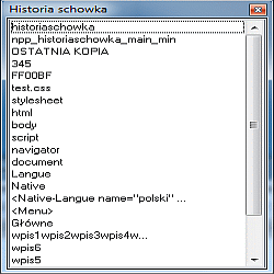Notepad++ - okno Historia schowka z przykładowymi wpisami