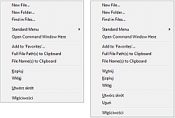 Explorer - okno Explorer z menu kontekstowym dla głównej etykiety i folderu
